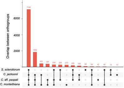 Whole genome sequencing of Clarireedia aff. paspali reveals potential pathogenesis factors in Clarireedia species, causal agents of dollar spot in turfgrass